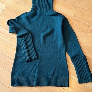 LIKE NEW! Banana Republic Evergreen Merino Wool Turtle Neck Sweater Sz M